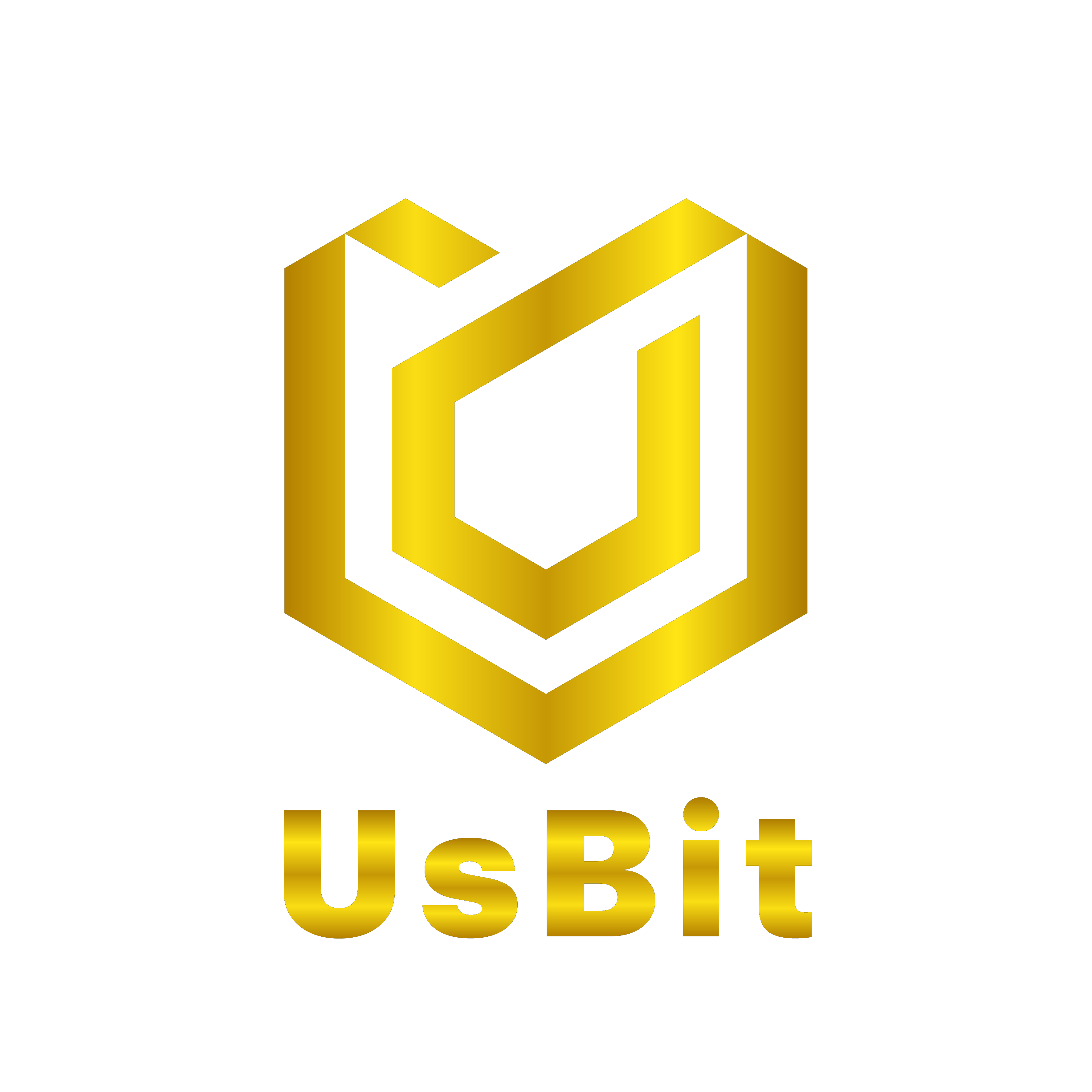 UsBit Overview